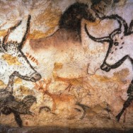 Lascaux cave painting of bulls