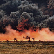 Kuwait, 1991, photo by Steve McCurry