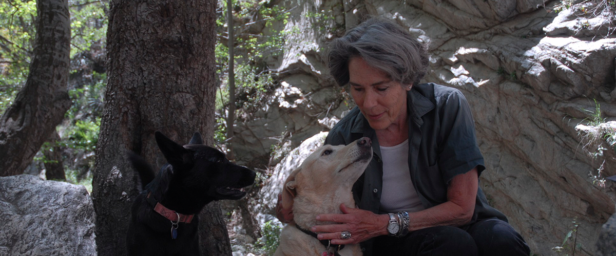 mary woronov : paintings, Artillery Magazine Articles & news...